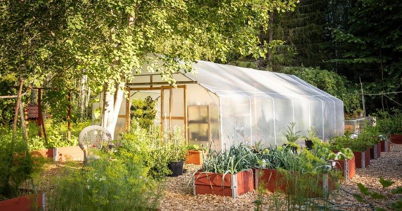 Bâche de serre de jardin : la choisir sans se tromper