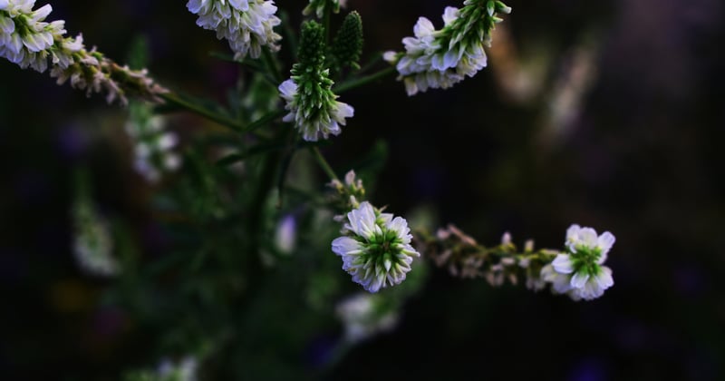 Blog d'actualités et d'informations : suivre la maison et le jardin au fil des saisons