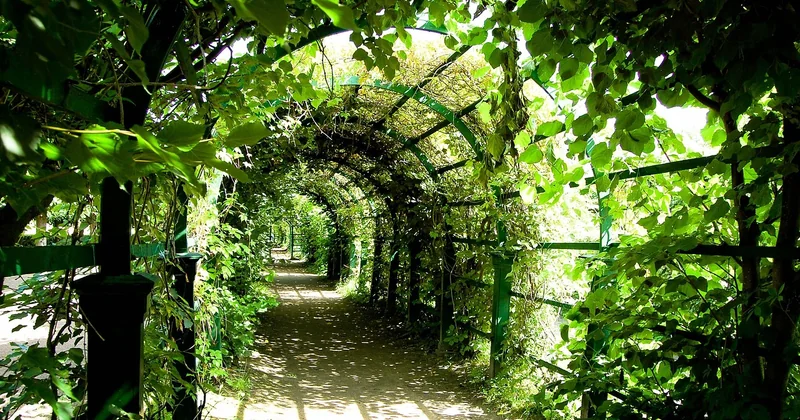 Toile en fibre de coco pour pergola : le vrai cas d'usage