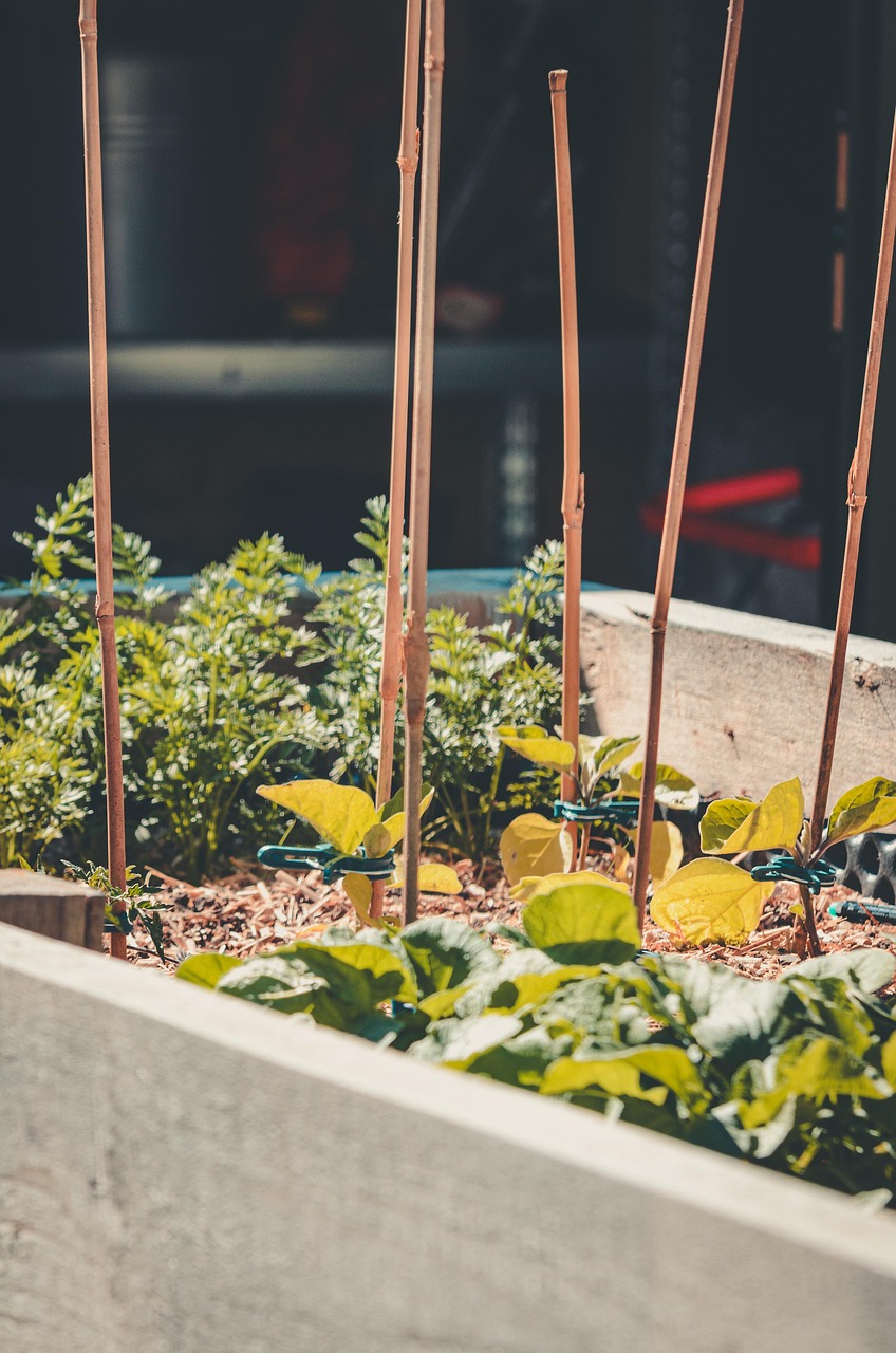 découvrez comment créer un jardin surélevé pour cultiver facilement vos légumes et plantes, avec des conseils pratiques et des idées d'aménagement.